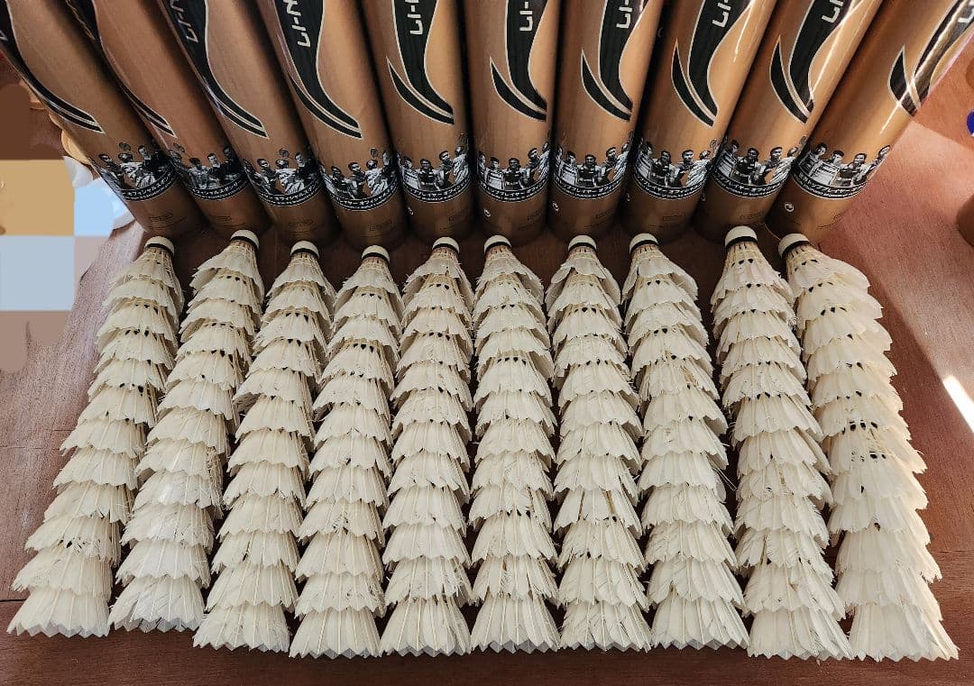 【第1種検定球】リーニン FA+500 中古シャトル 120球（10ダース）