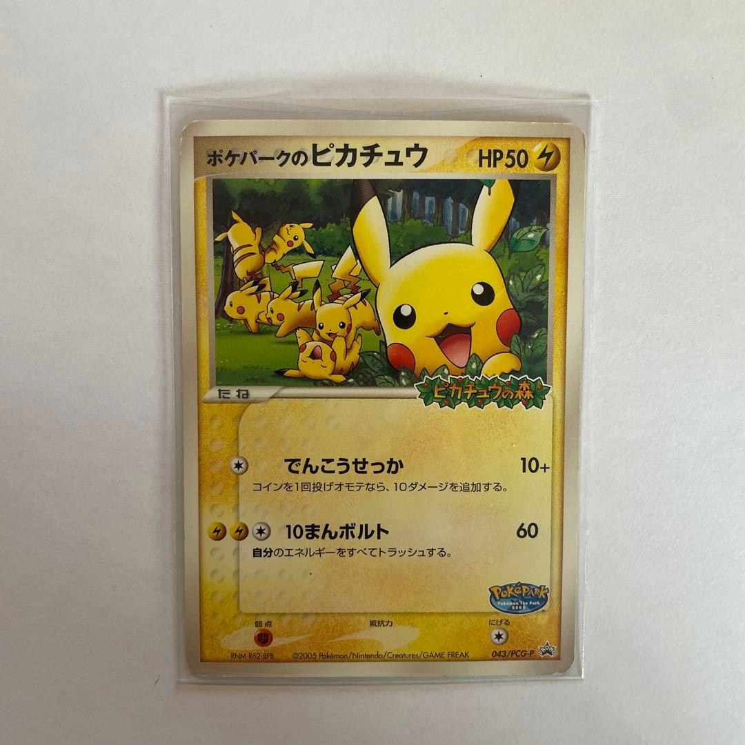 エ*プ様 ポケパークのピカチュウ