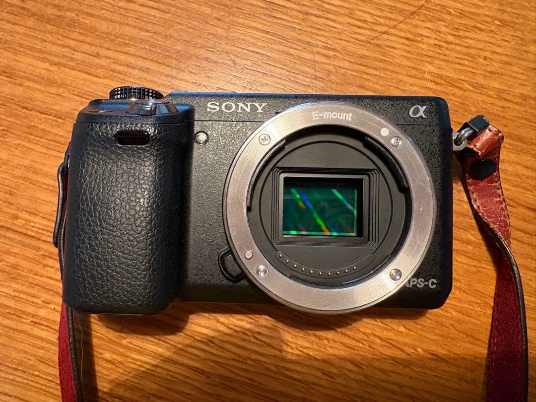 nex-6 ダブルズームGARIZカバーストラップ