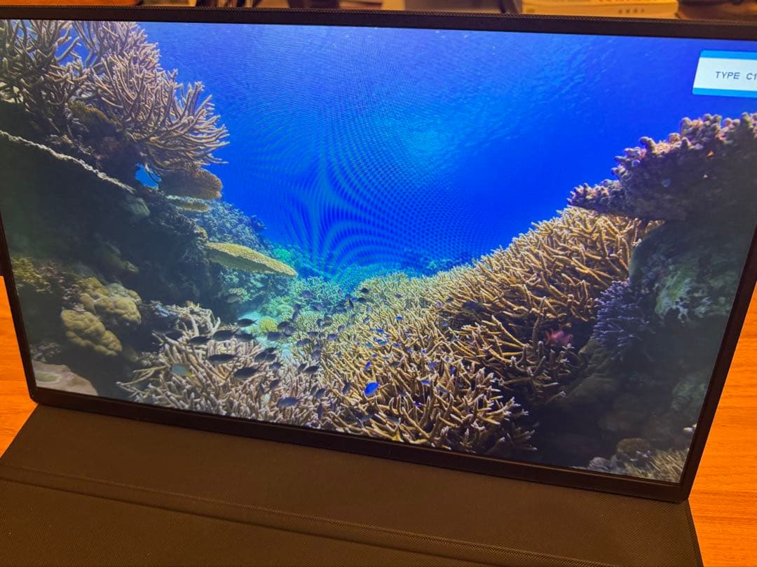 Acouto XC18 18.5インチ モバイルディスプレイ