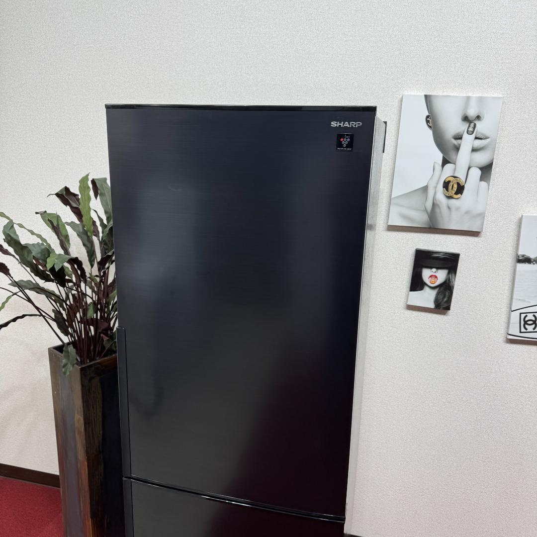 東京23区送料無料　超美品シャープ2022年製　2ドア310L　洗浄/除菌済み