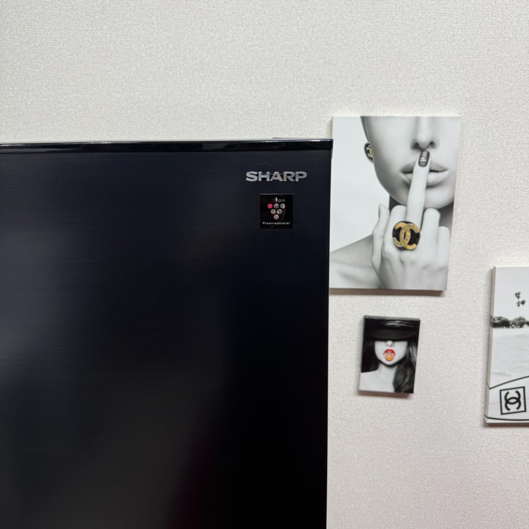 東京23区送料無料　超美品シャープ2022年製　2ドア310L　洗浄/除菌済み
