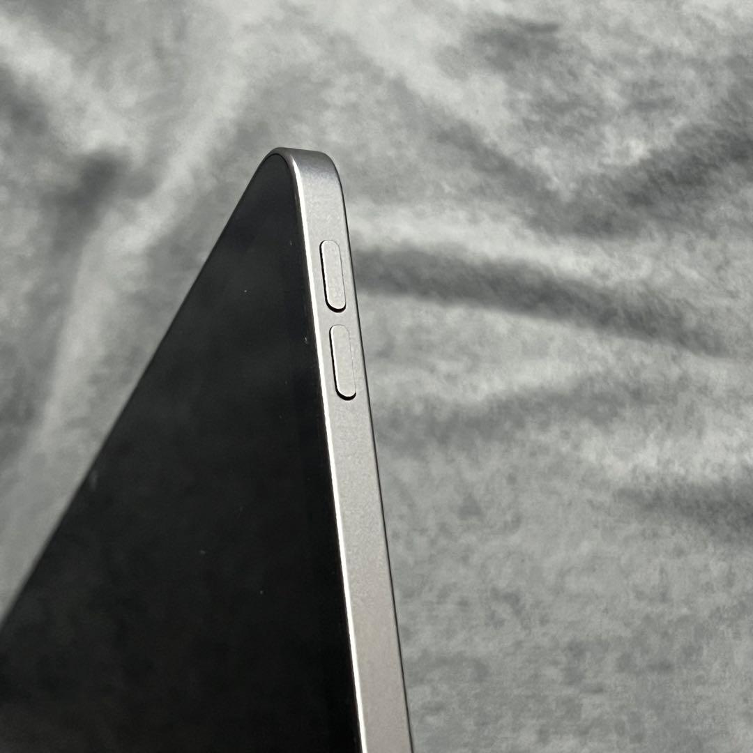 iPad Pro 12.9インチ 第5世代 ジャンク 画面表示不良 初期化済