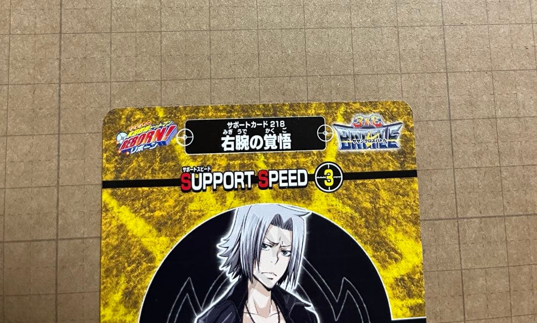 REBORN! サザンクロスバトル 獄寺