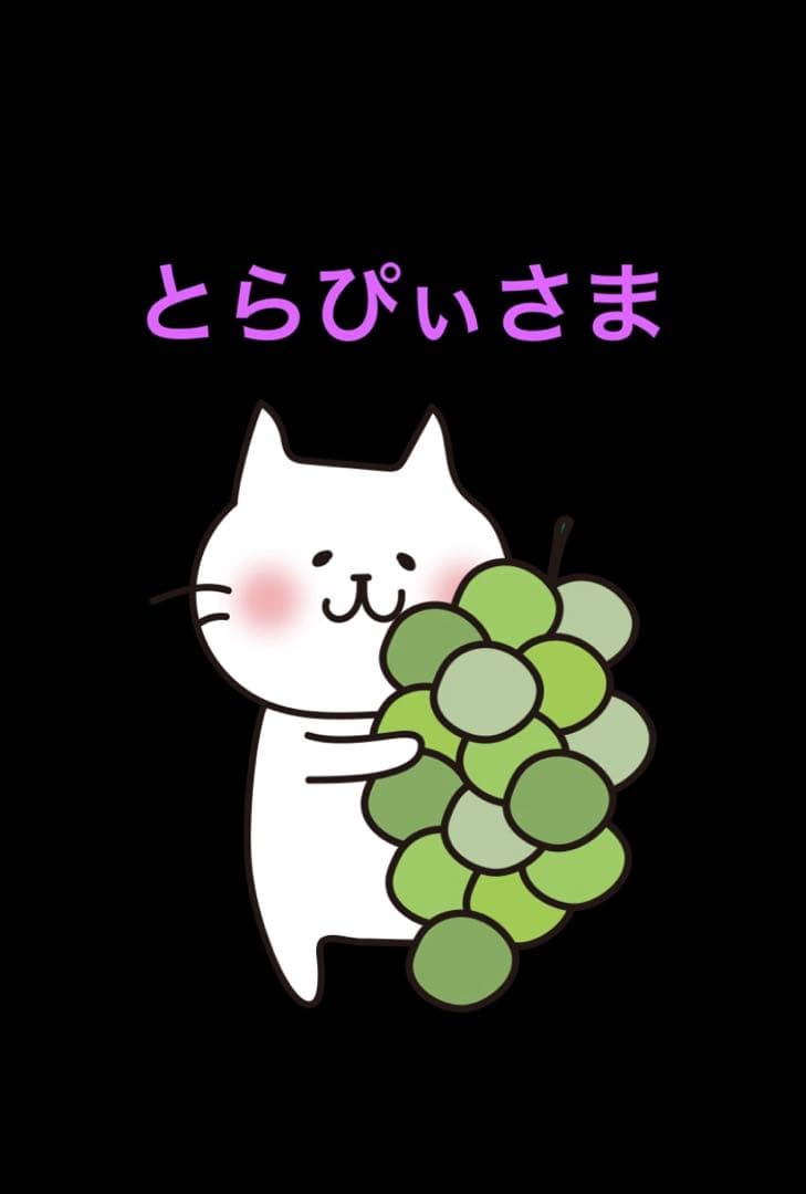 信州　大粒シャインマスカット＆希少クイーンルージュ®︎順次発送