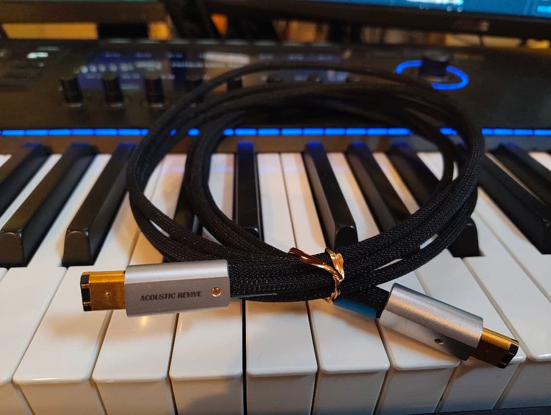 定価6万円 ACOUSTIC REVIVE firewireケーブル
