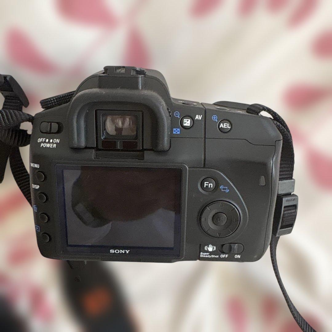 Sony α200 デジタル一眼レフカメラセットバック付き