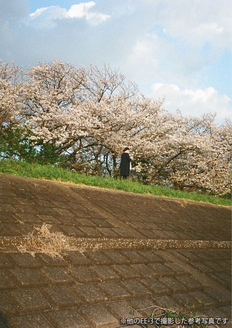 【動作保証・完動品】OLYMPUS PEN EE-3 / EE3 美品