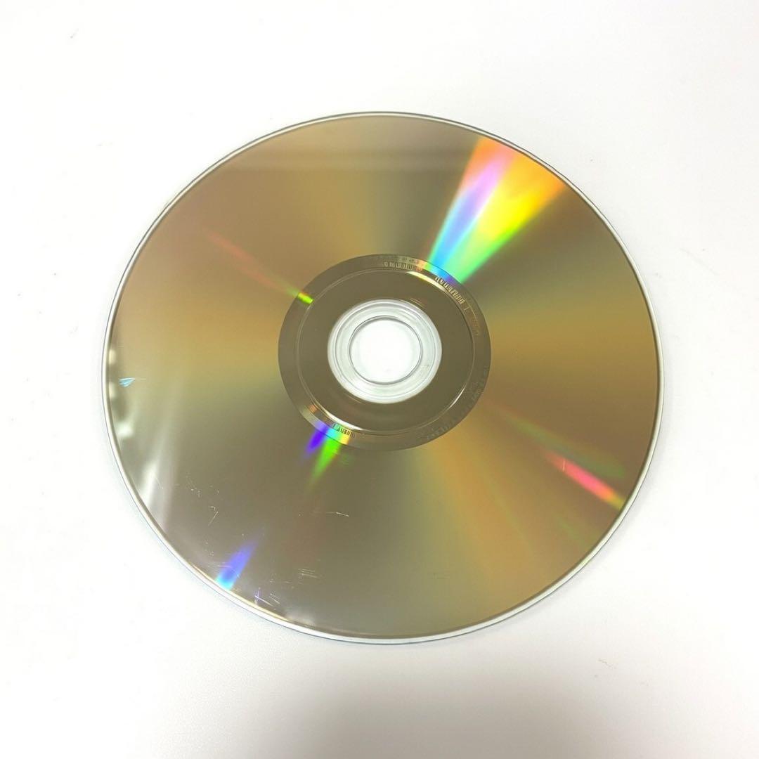 The Fall 落下の王国 DVD レンタル落ち