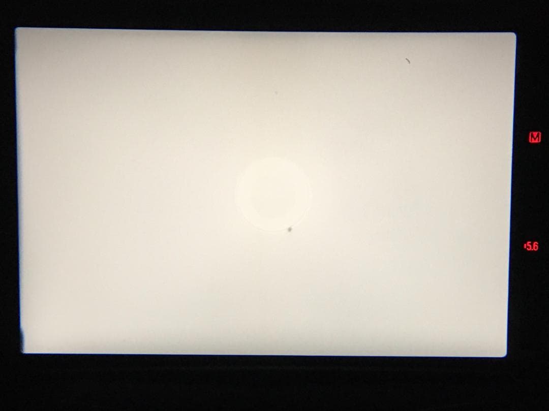 フィルムカメラ Canon AE-1 Program Black FD 50mm f/1.8