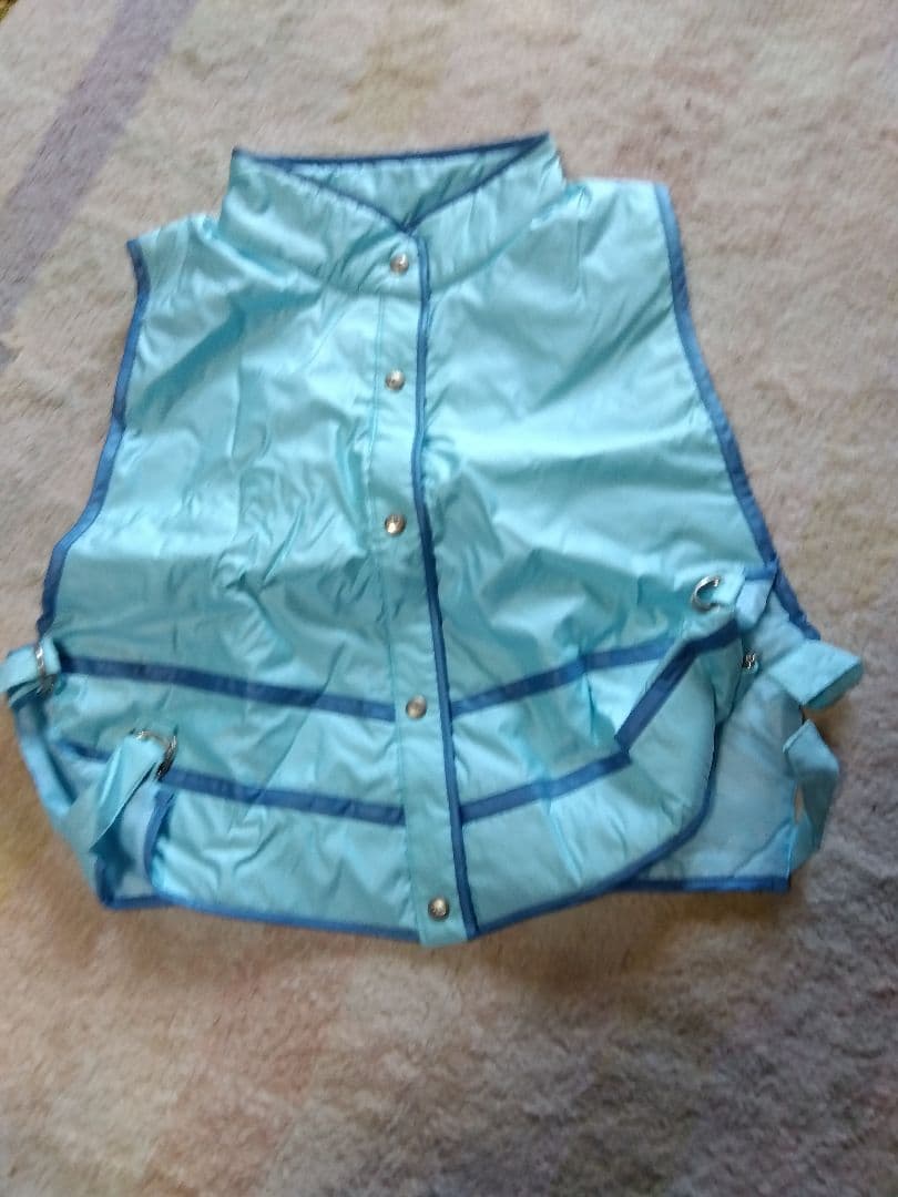 水色 スキーウェア 上下セット 女性用