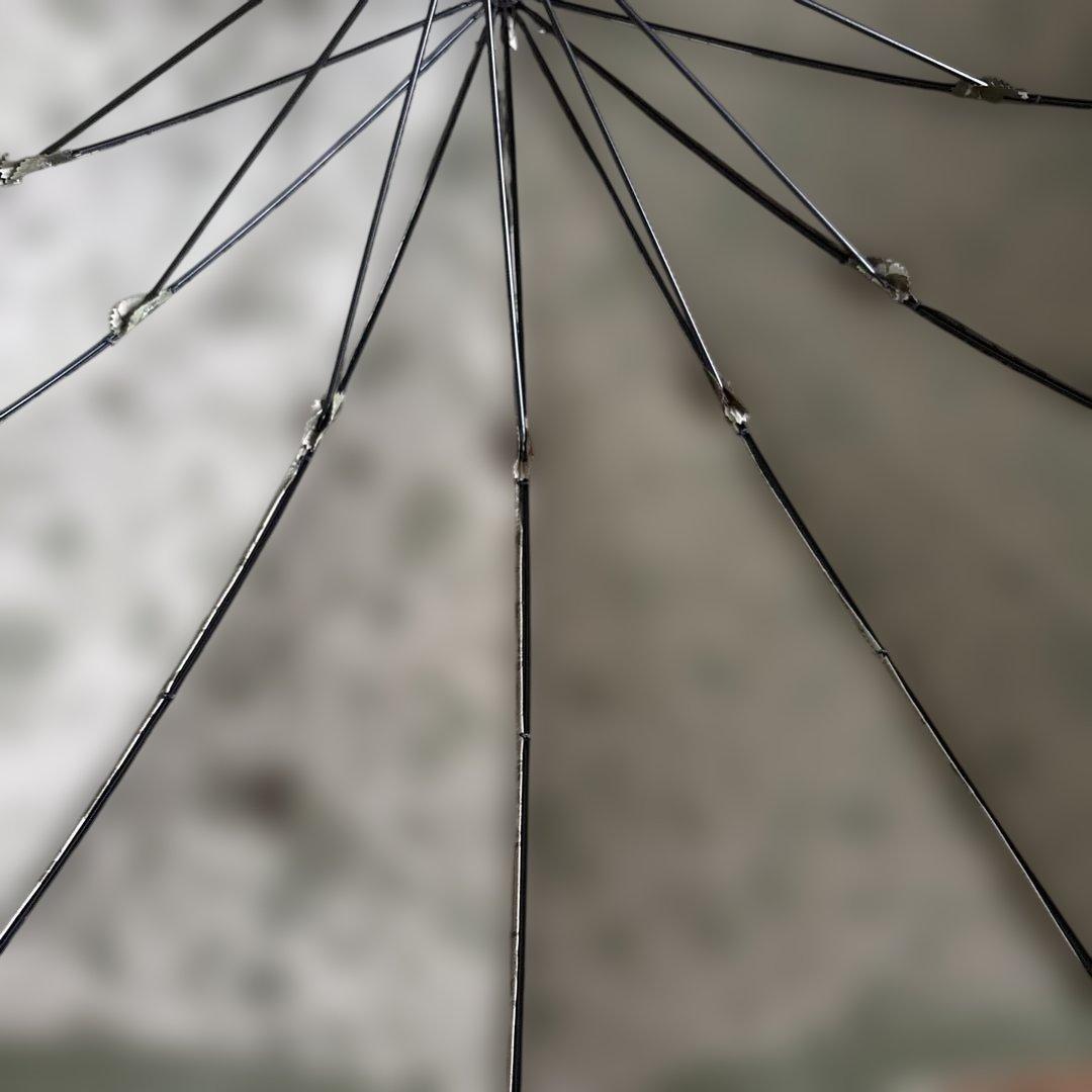 お値下げ　前原光榮商店オリーブグリーン 花柄 長傘