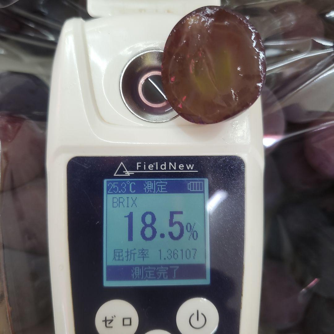 1⃣ 山梨県産 種無し巨峰 ９房入り 箱込み5.5キロ