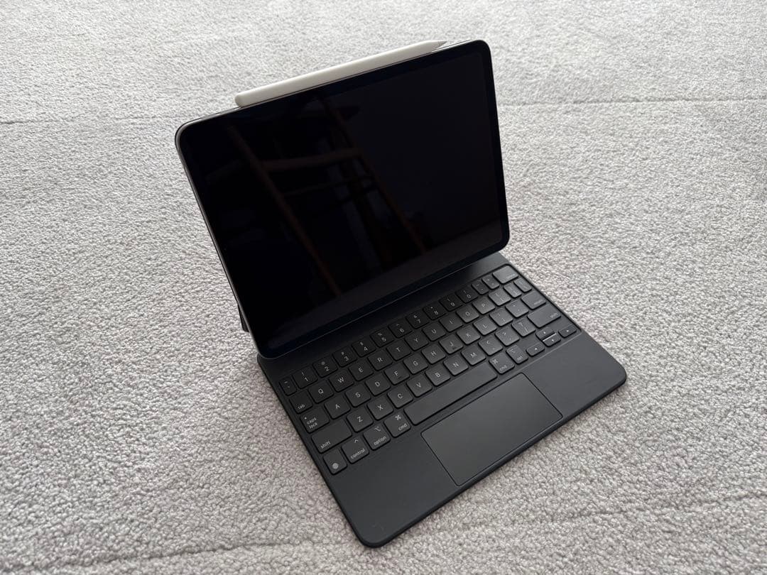 iPad Pro 11インチ 256GB (第1世代) + アクセサリ x 3点