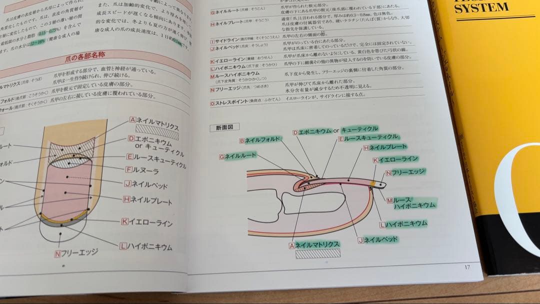 ジェルネイル検定・ネイリスト検定フルセット