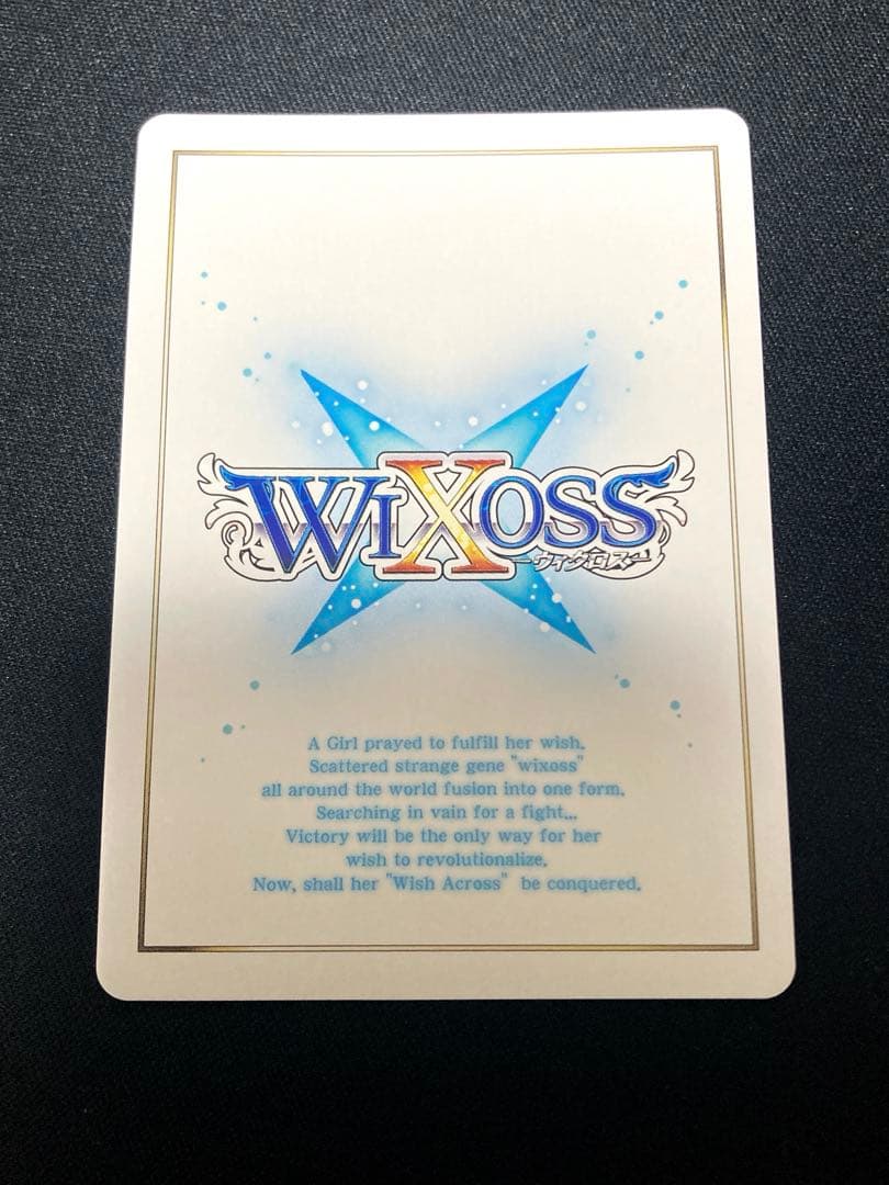 ブラック・ディストラクト(UAR) WX25-P3-009U