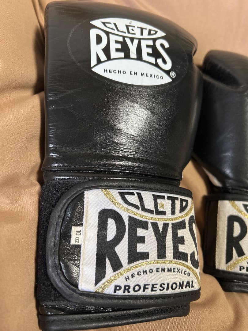 レイジェスボクシンググローブベルクロ式10オンス【超美品】