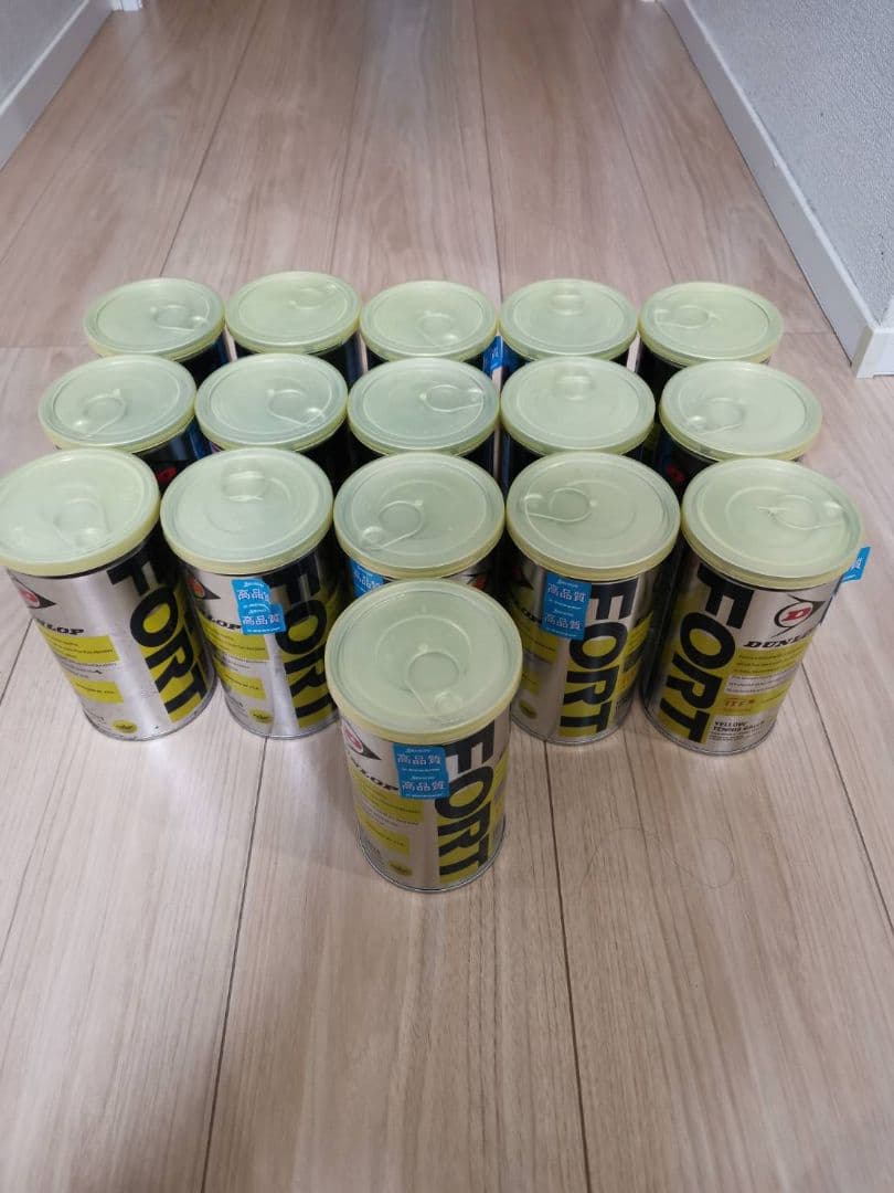 DUNLOP FORT テニスボール 2球×16缶