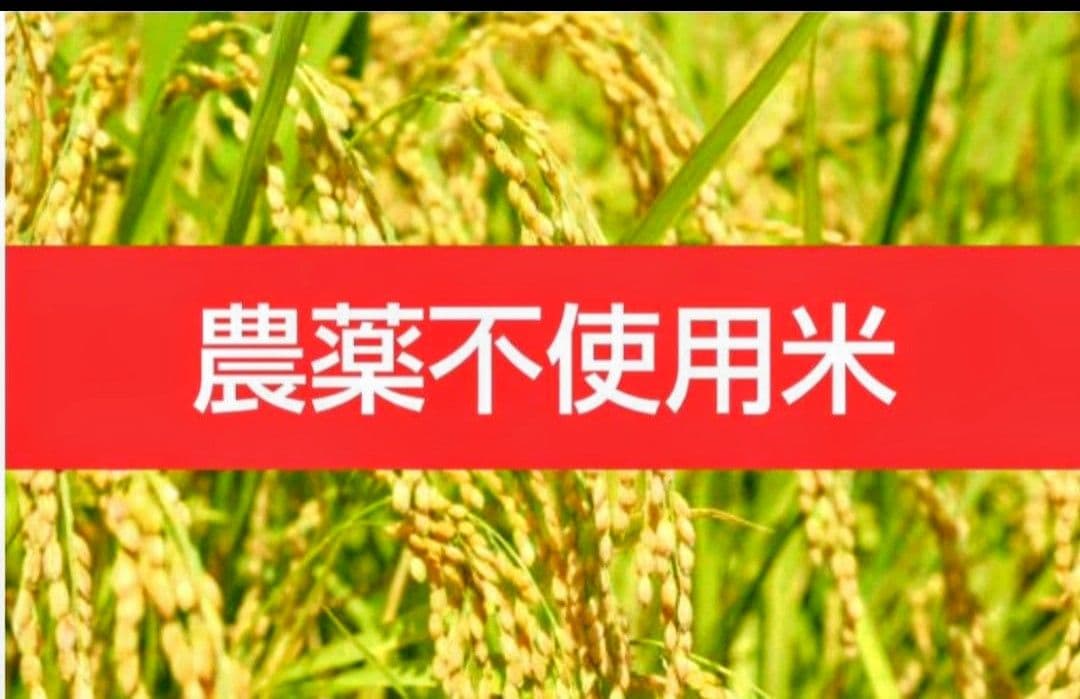 こだわり農家の自慢米 白米１０㎏(農薬不使用米)
