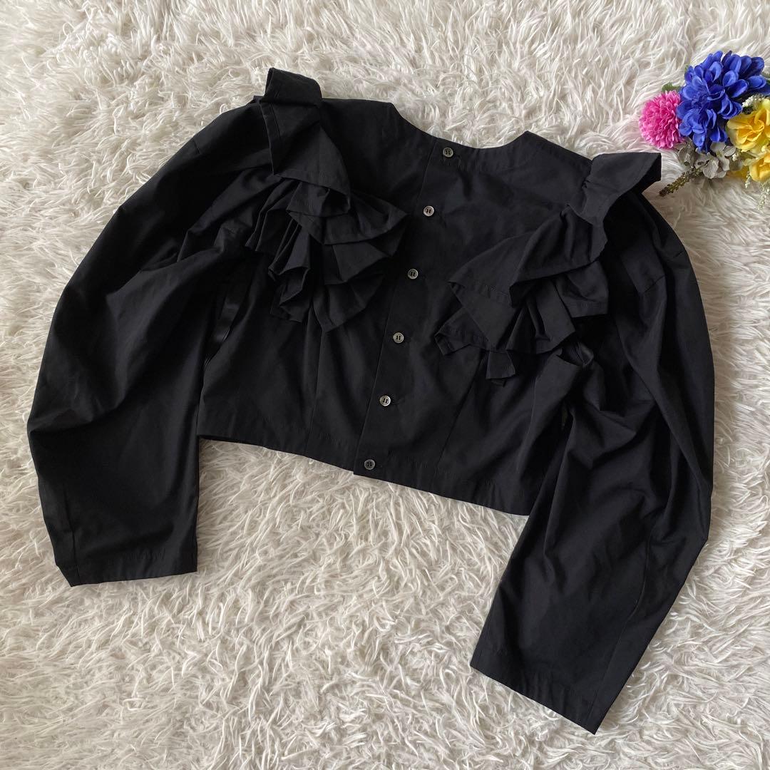 Ray BEAMS 【別注】MIYAO / フリル ブラウス　黒