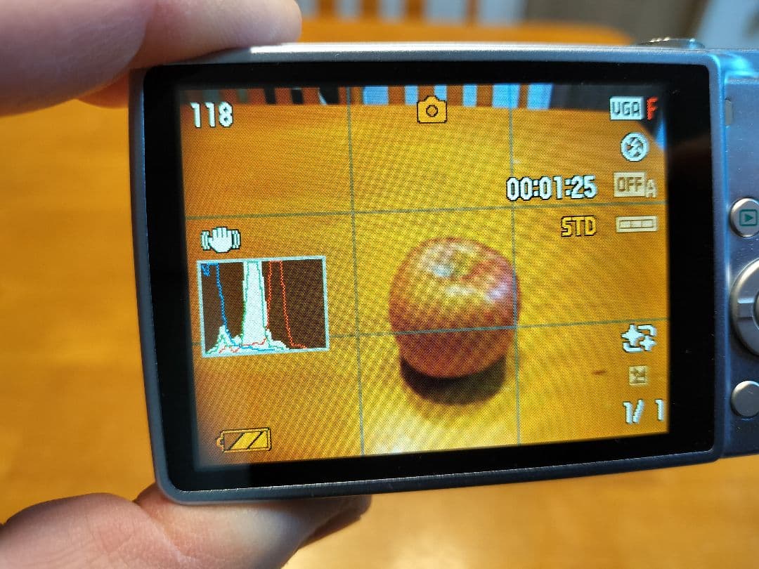 CASIO EXILIM EX-Z250 9.1MP デジタルカメラ