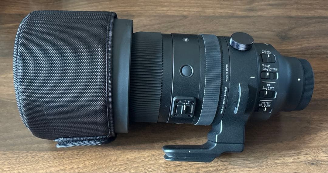 shinさん専用SIGMA 150-600mm F5-6.3 DG DN OS