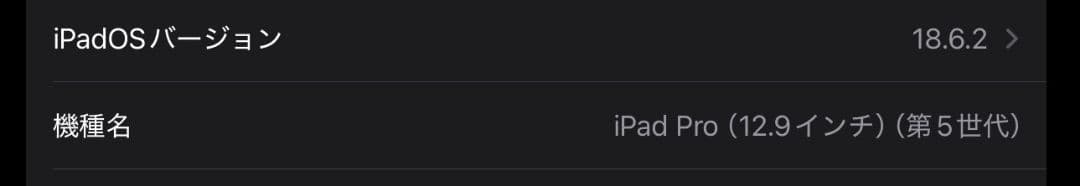 Apple iPad pro M1 12.9 本体 + Apple Pencil