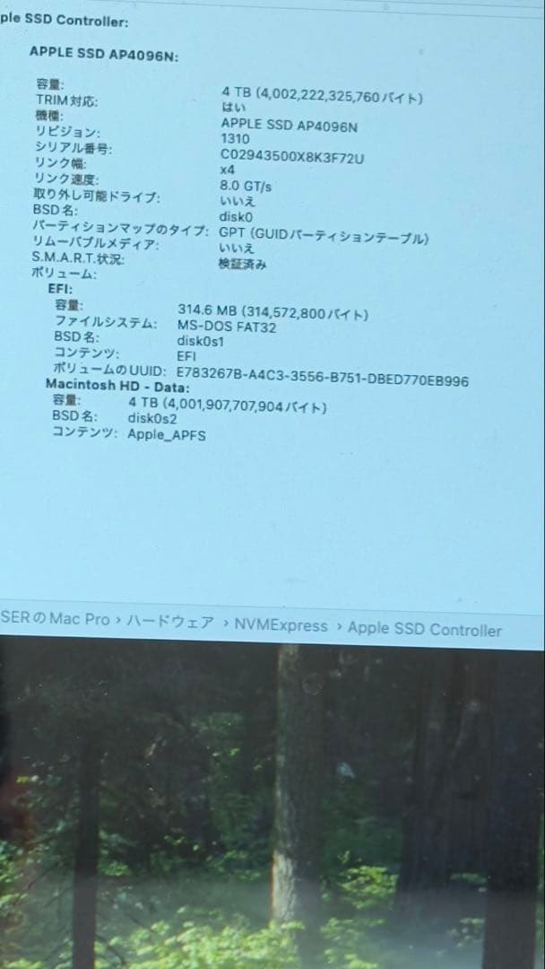 内蔵型SSD APPLE SSD H2TB EMC 3197 (2TBx2) 4TB NVMe