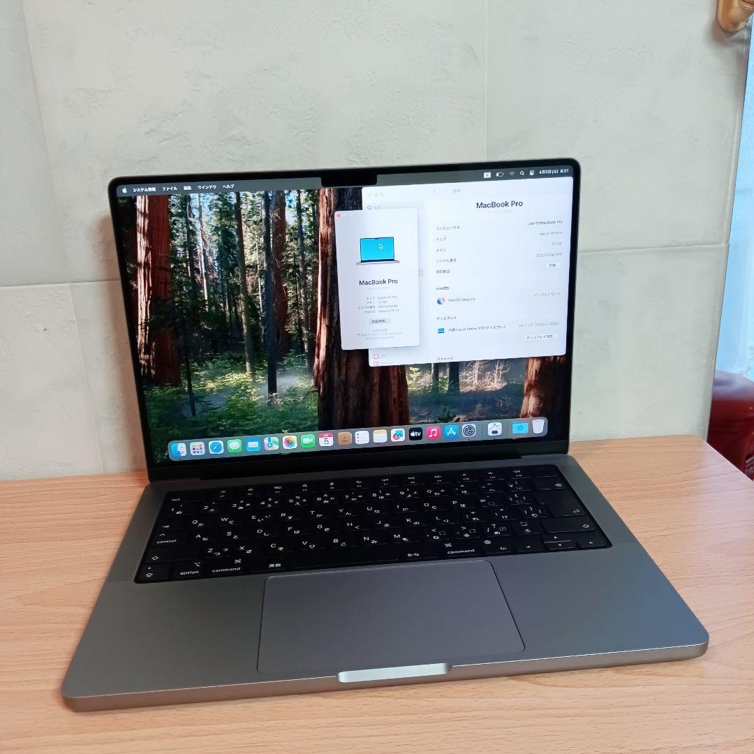 902激安早いもの勝ち✨️Apple ProM116GB　512GB