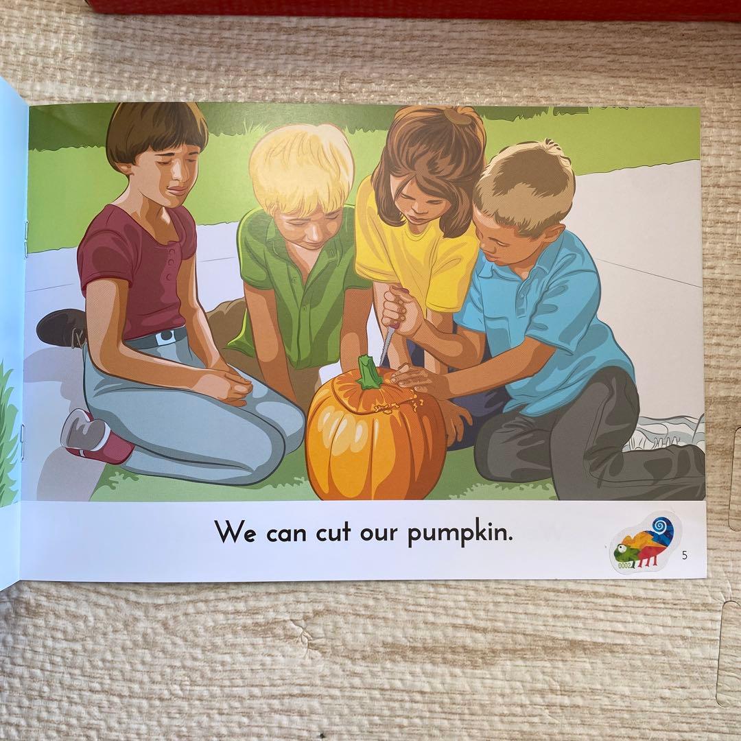 Learn to Read CTP 20冊×6