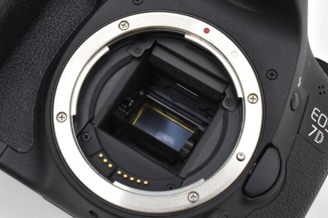 ショット数: 6124回キヤノン Canon EOS 7D ボディ #1012