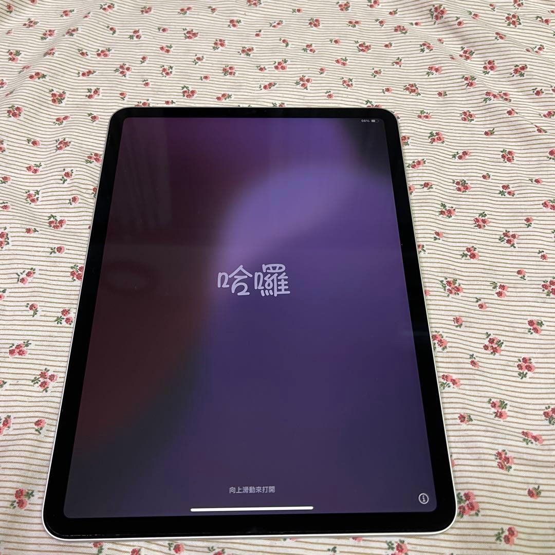 Apple iPad pro 第4世代 11 wifi applepencil