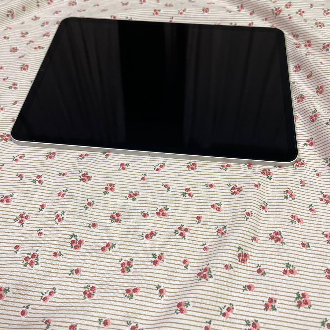 Apple iPad pro 第4世代 11 wifi applepencil