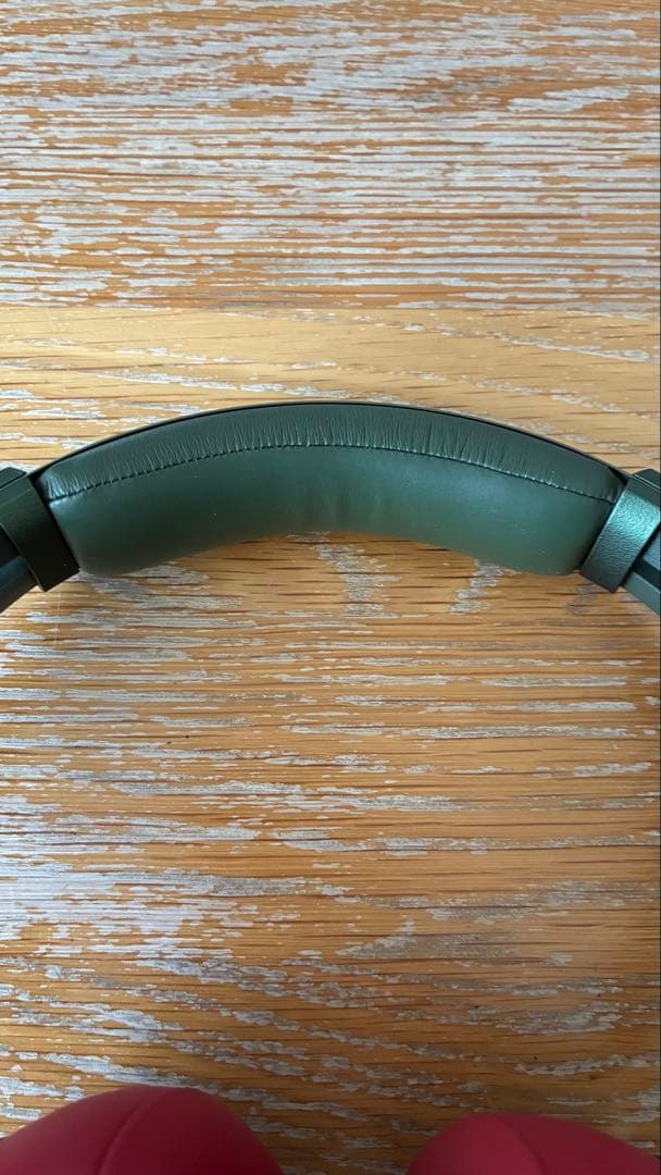 『MDR-XB９５０N１（G）』