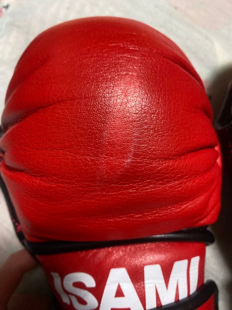 ISAMI パウンドグローブ