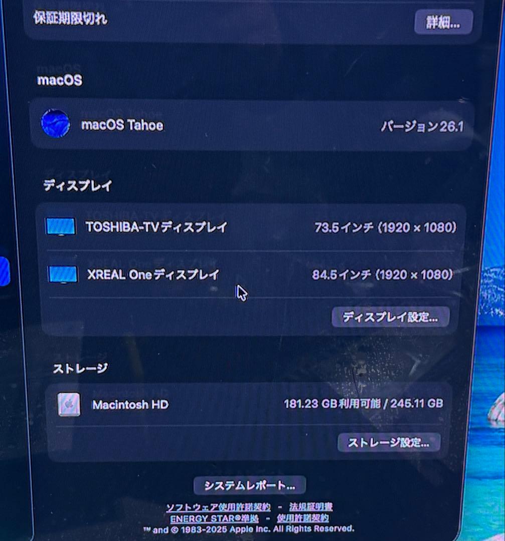 Mac mini M2/16G/256G 純正キーボードマウスTrackPad付