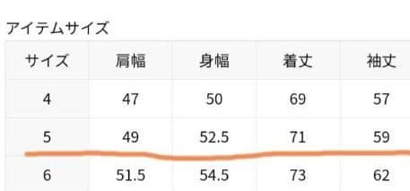 【美品】IENA イエナ セントジェームス ウエッソン　ピンク　T5