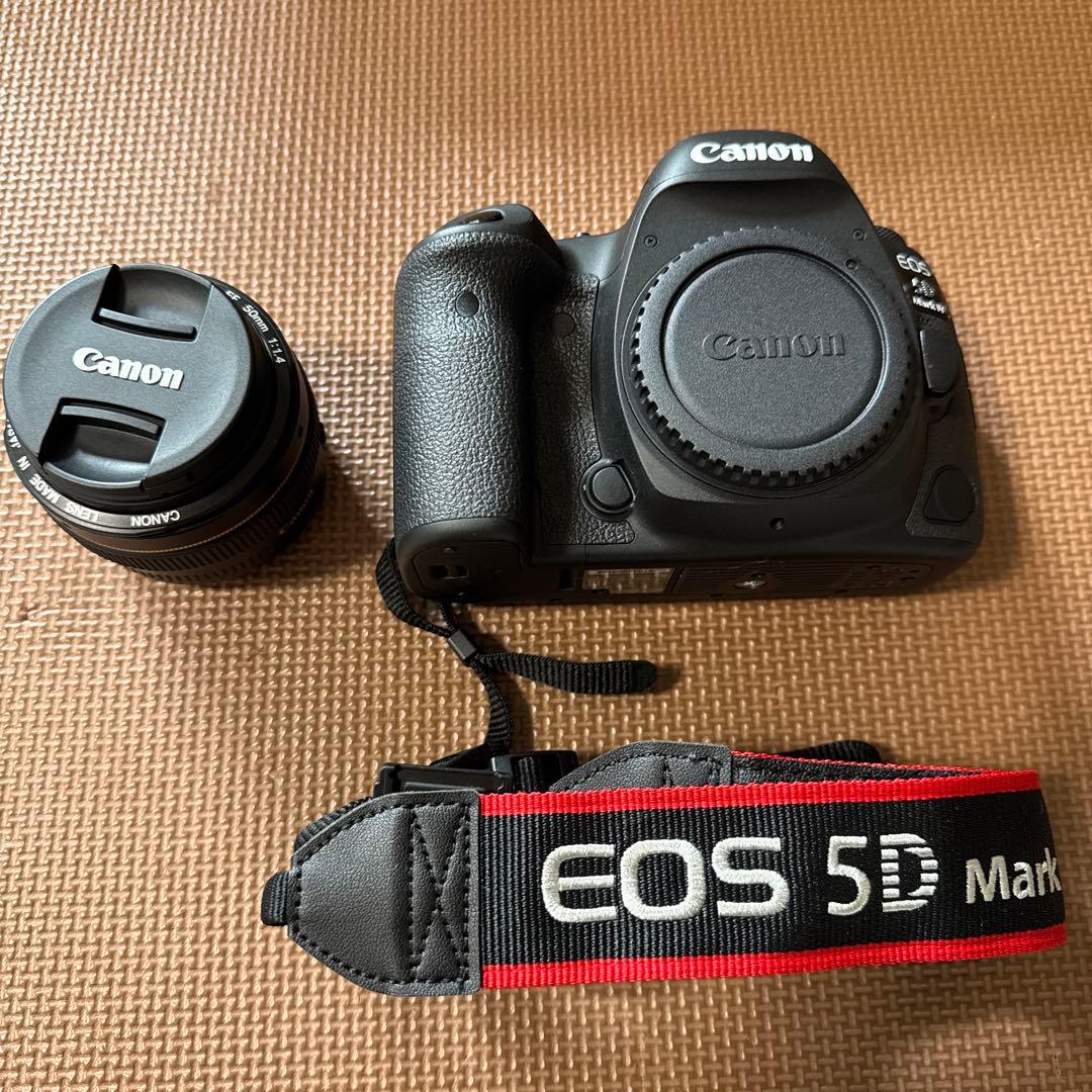 極美品　Canon EOS 5D MarkⅣ 単焦点レンズセット　EF 50mm