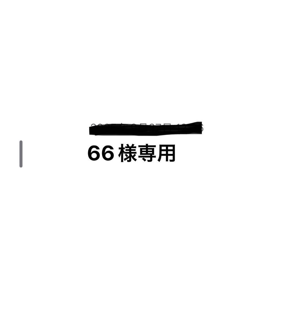 ウェア 66