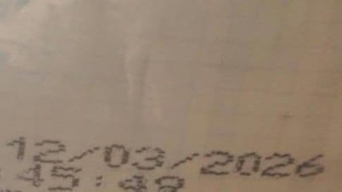 8匹わんこの大家族