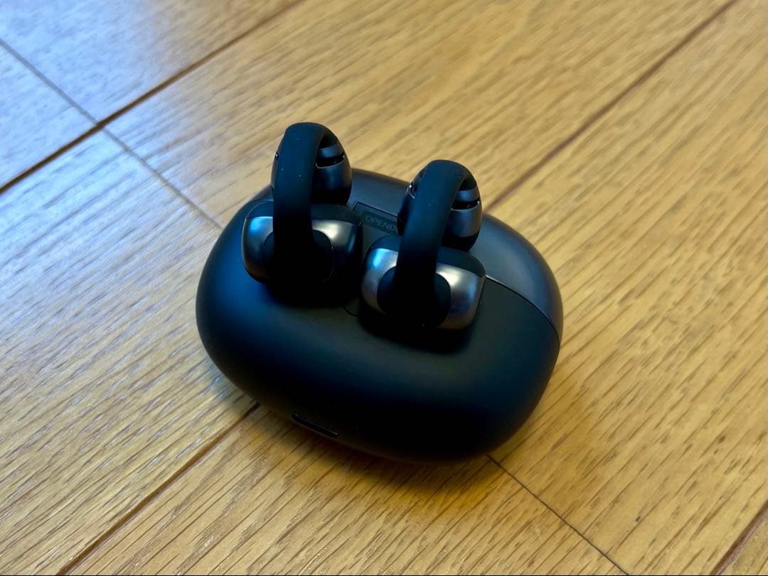 使用感無し⭐︎Shokz OpenDots One ワイヤレスイヤホン