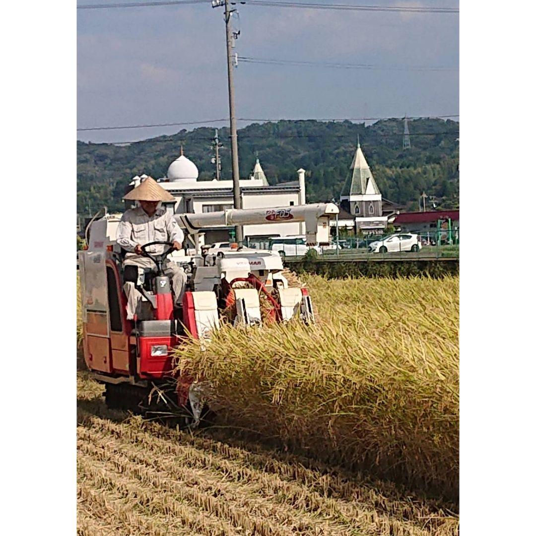 R7年富山県産コシヒカリ玄米5kg×2袋✳️関東、東海、信越、関西地域限定