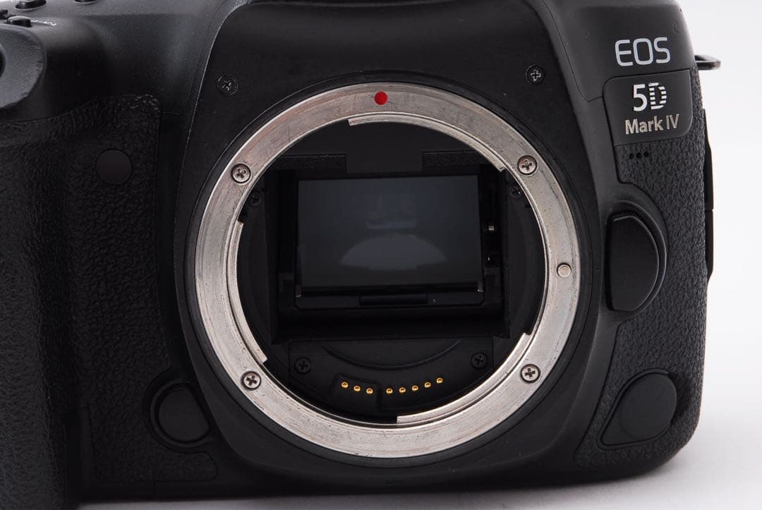 ☆キャノン☆Canon EOS 5D Mark IV標準&望遠ダブルレンズセット
