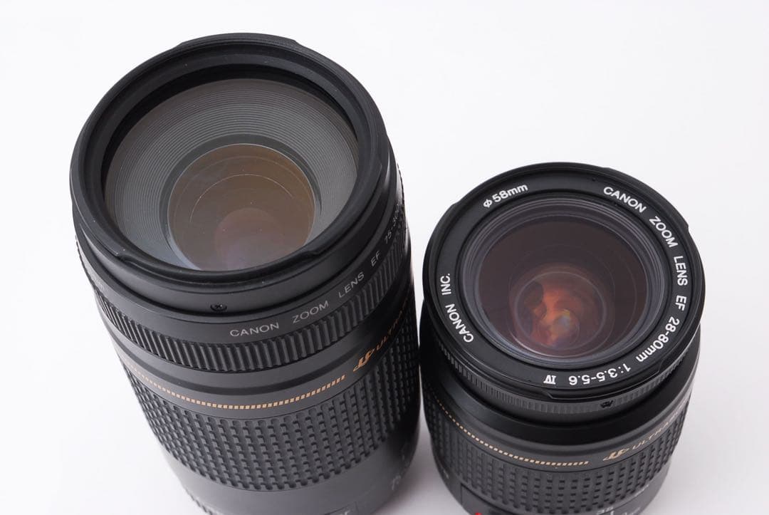 ☆キャノン☆Canon EOS 5D Mark IV標準&望遠ダブルレンズセット