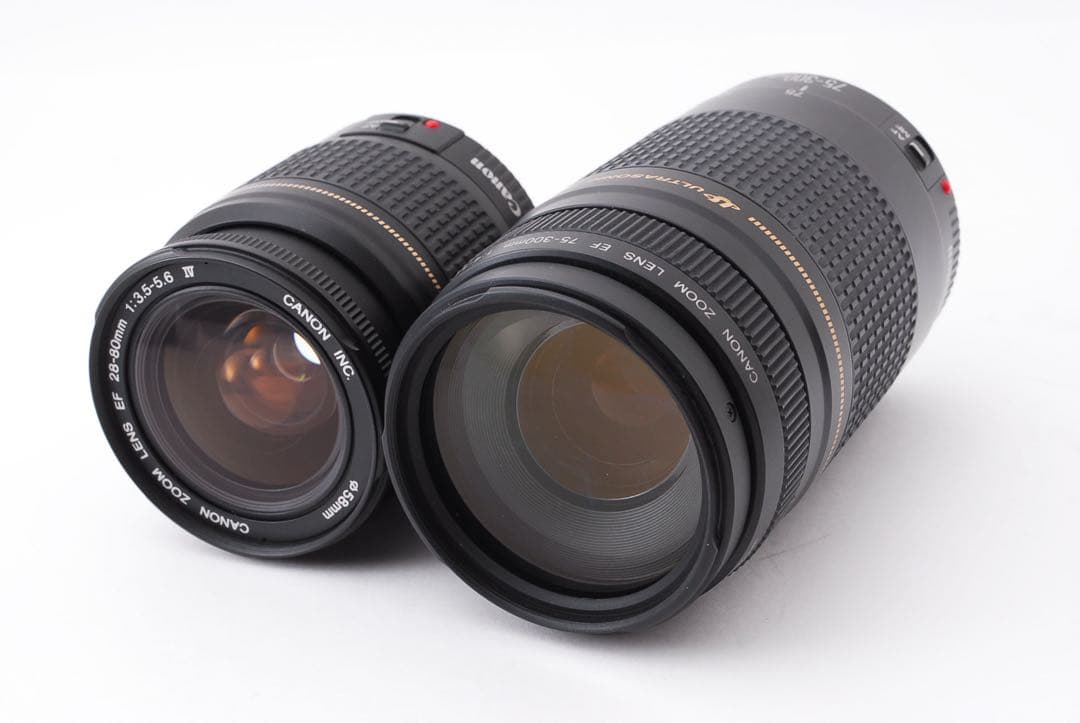 ☆キャノン☆Canon EOS 5D Mark IV標準&望遠ダブルレンズセット