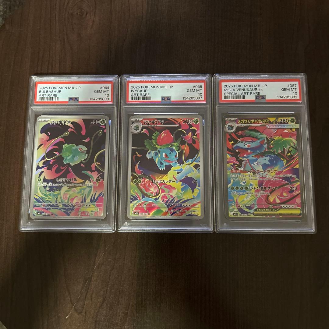 メガフシギバナex 進化ライン【PSA10】セット