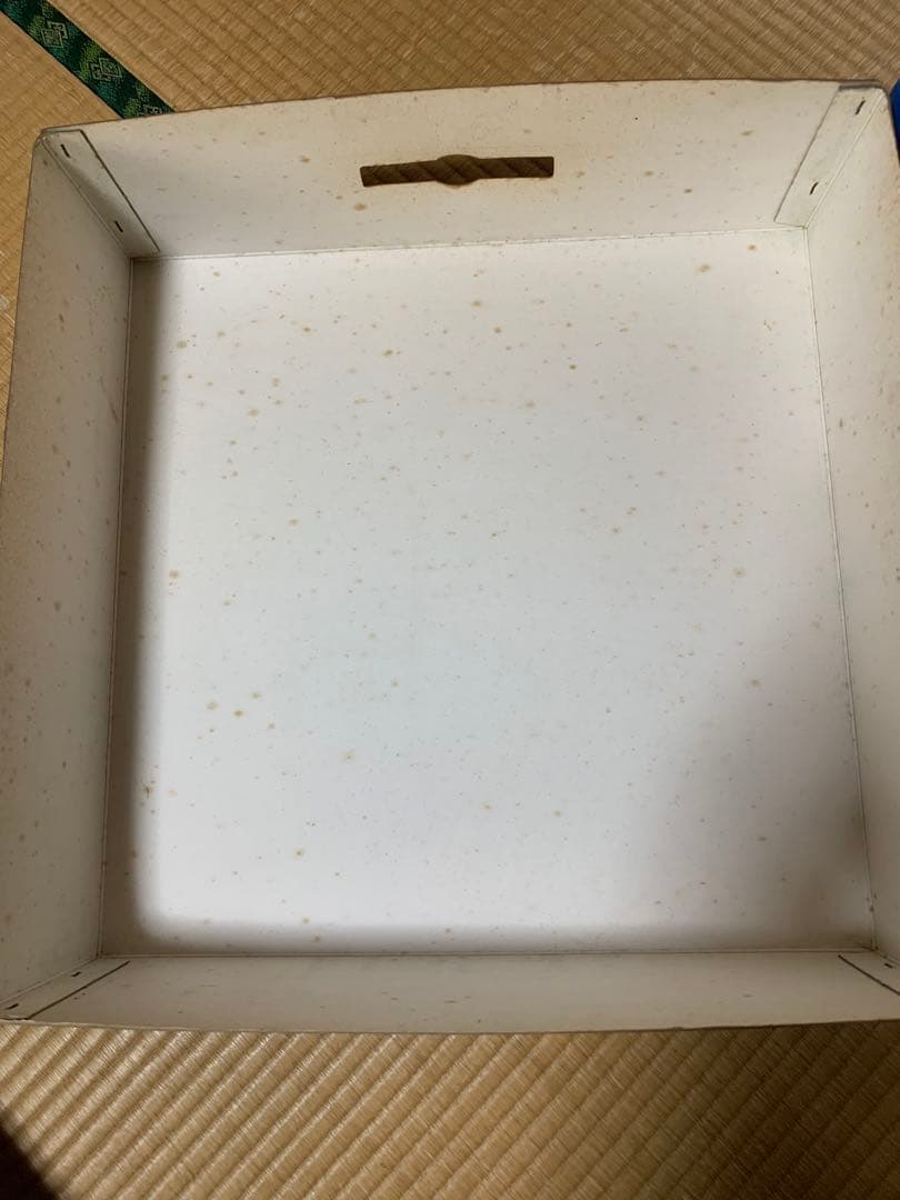 東レ　太郎鯉　　当時物　サイズ5