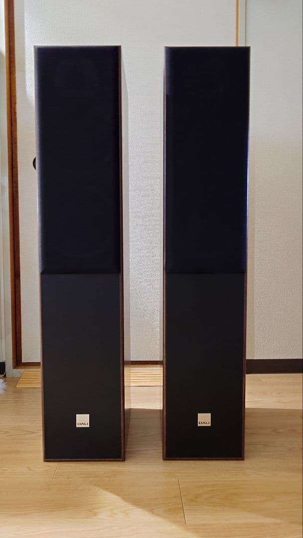 DALI SPEKTOR 6 ダリ スペクター