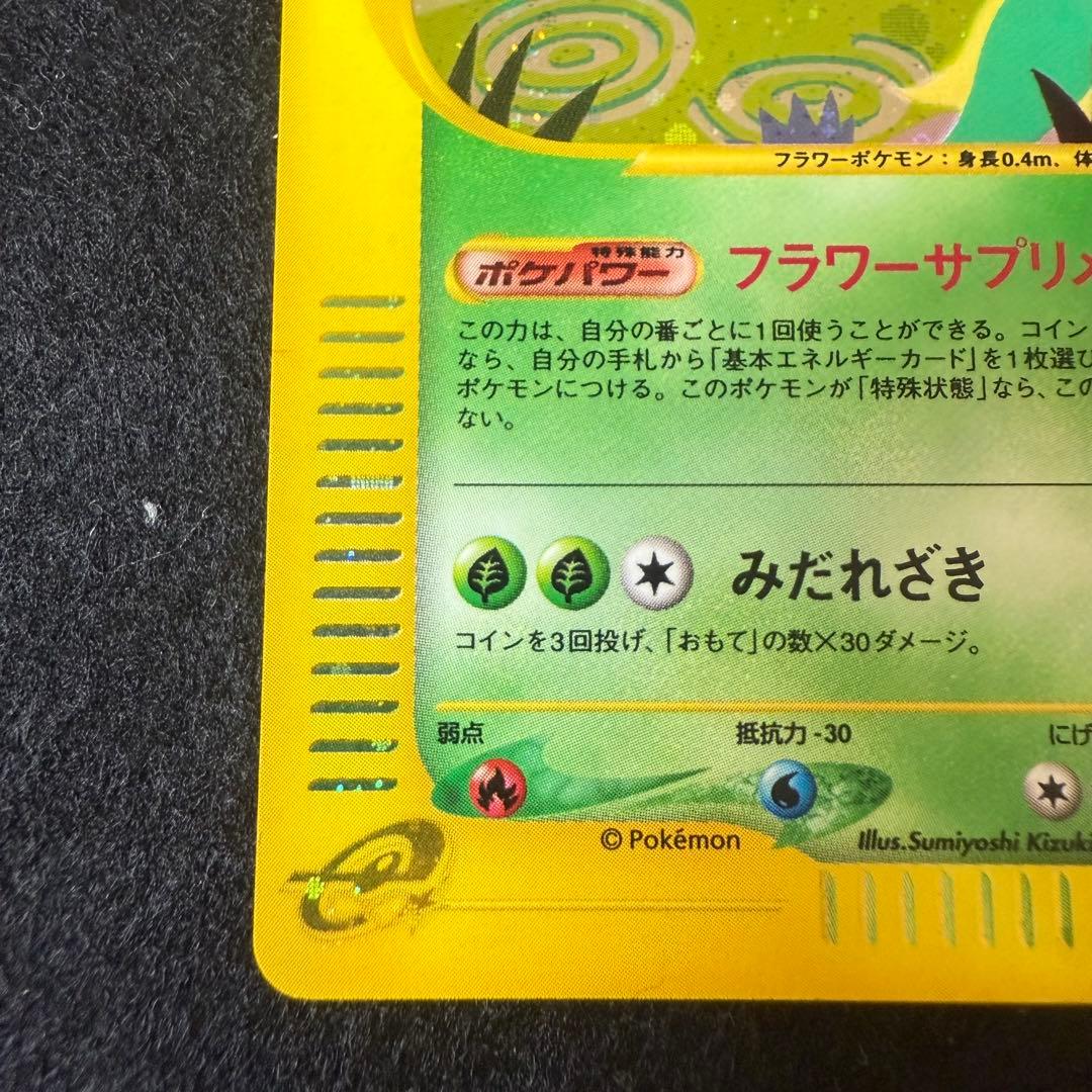 ラフレシア　キレイハナ　2枚セット　カードe