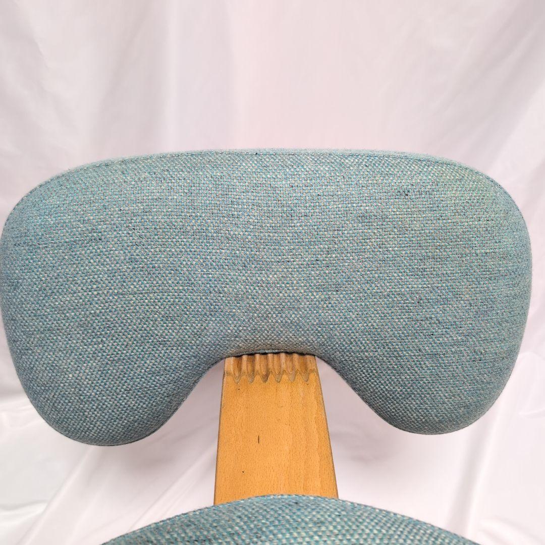 rybo バランスチェア　イージー　姿勢矯正クッションチェア